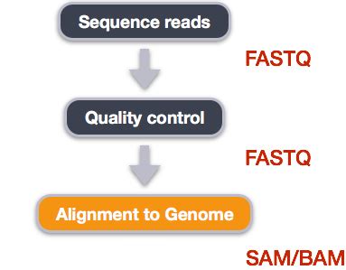 Data Wrangling And Processing For Genomics Variant Calling Workflow