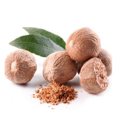 Nutmeg Myristica Fragrans Kerala Naturals