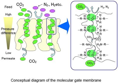 Membrane Separation Rite Chemical Research Group