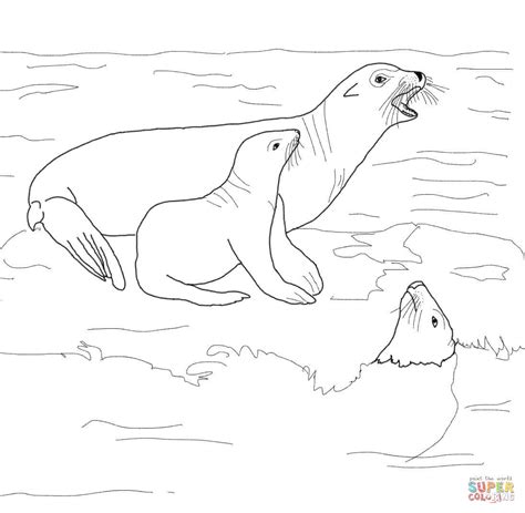 California Sea Lion With Its Baby Coloring Page Free Printable