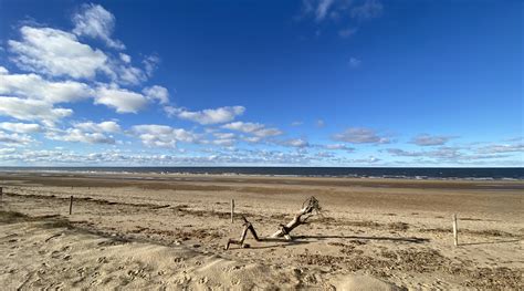 Penny S Hot Birding And Life