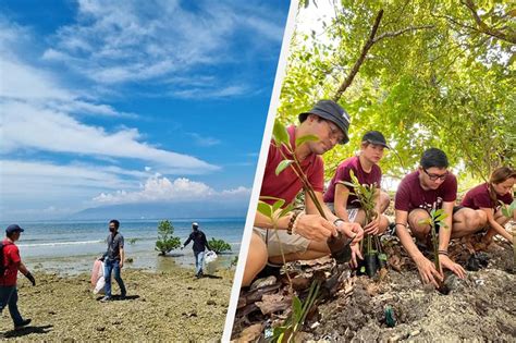 Coastal Cleanup Mangrove Planting Isinagawa Sa Davao City Abs Cbn News