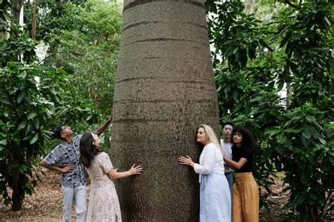 Adelaide Tour Culturale Privato Del Giardino Botanico Di Adelaide