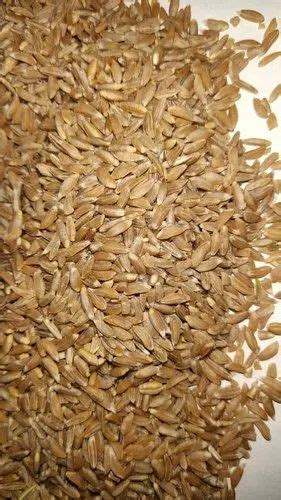 Golden Loose Organic Khapli Wheat At Rs 65 Kg In Sangli ID 2851421075612