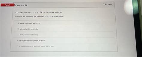 LO38 Explain the function of UTRS in the mRNA | Chegg.com 