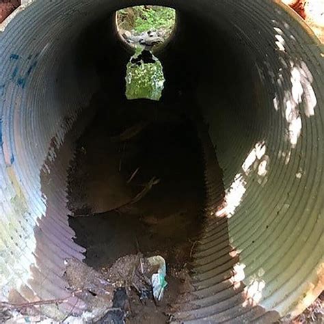 Pipe Lining Vs Replacement Whats The Difference MCSP