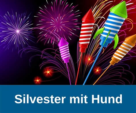 ᐅ Silvester mit Hund Tipps gegen Angst guter Hund de