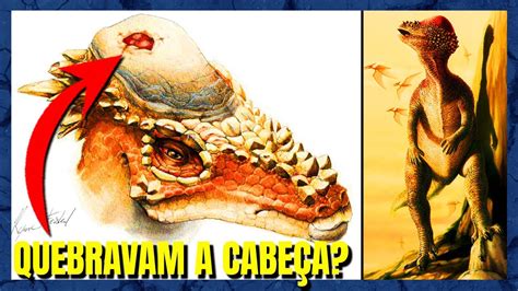 A Biologia Insana Do Paquicefalossauro Pachycephalosaurus Youtube