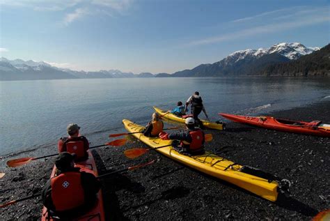 Resurrection Bay Tours — Sunny Cove Kayaking Hiking Wildlife