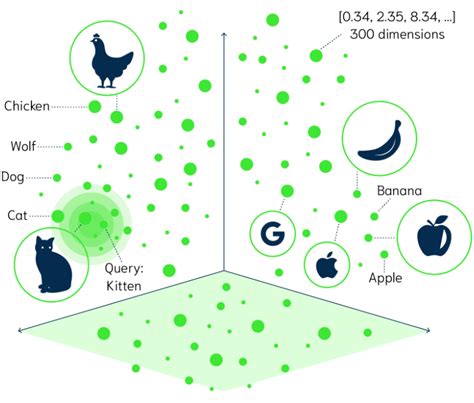 A Gentle Introduction To Vector Search