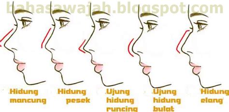 Download Cara Gambar Hidung Pictures