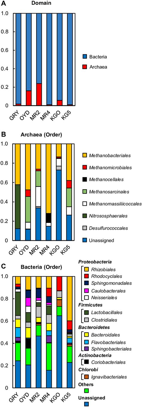 A Relative Abundance Of Archaeal And Bacterial 16S RRNA Genes