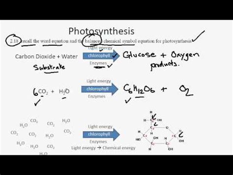 Photosynthesis Equation In Words And Symbols - Tessshebaylo