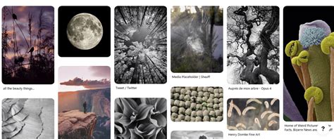 23+ Pinterest Board Ideas - BlogItUplife