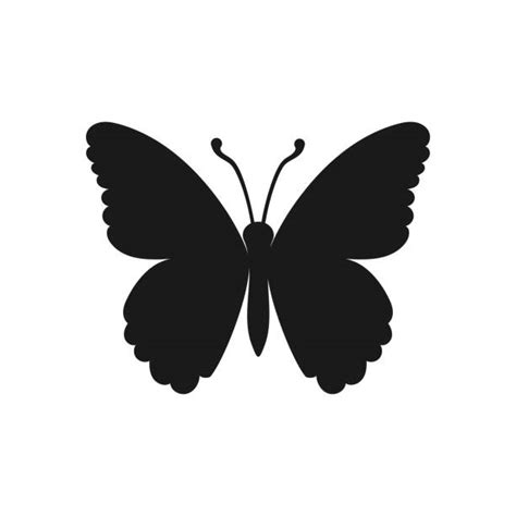 190 Butterfly Stencil Black White Illustrazioni Stock Grafiche Vettoriali Royalty Free E Clip