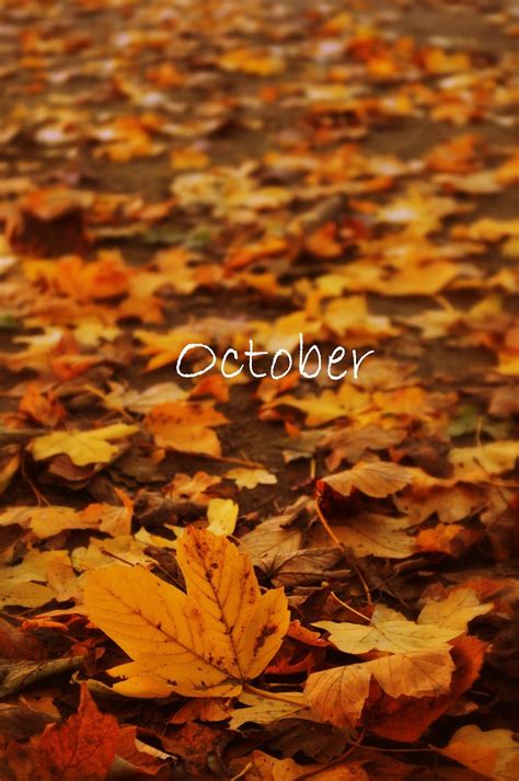 Pin by Lianneke Wesdorp on October | Autumn scenes, October wallpaper ...