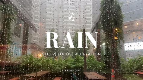 🌧️ Sleep Serenely With Distant Thunderstorm Sounds And Gentle Rain 🌧️