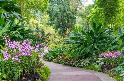 National Orchid Garden Singapore Ticket Price And Opening Hours