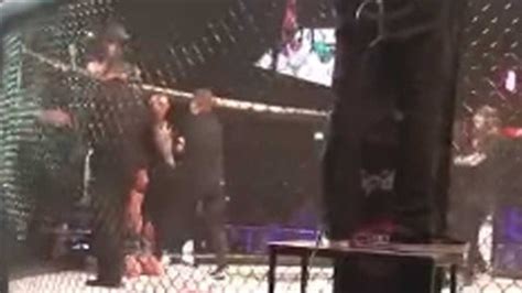 Morte De Rafeiro Ainda Afeta Conor Mcgregor Desportos De Combate