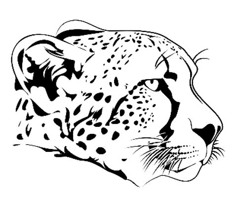 Cheetah Cub Drawing at GetDrawings | Free download