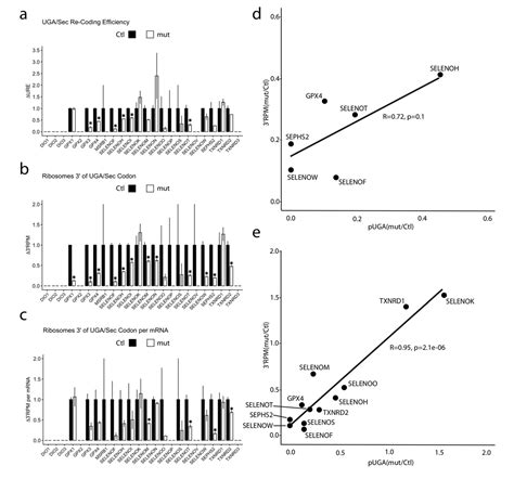 Biomolecules Free Full Text High Resolution Ribosome Profiling