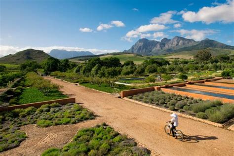 Babylonstoren Review A Taste Of Paradise In The Heart Of South Africa