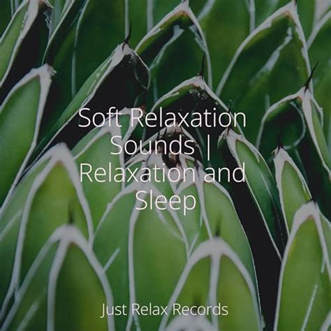 Play Soft Relaxation Sounds Relaxation And Sleep By Musica Romantica