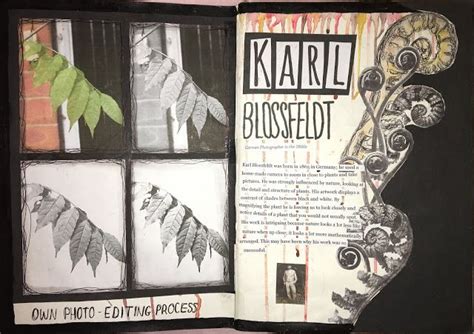 My GCSE Art Coursework ǀ Natural Forms Gcse art sketchbook Natural