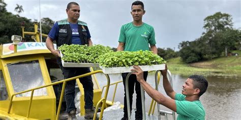 Prefeitura De Manaus Em Parceria Ong Fomenta A Agricultura Familiar