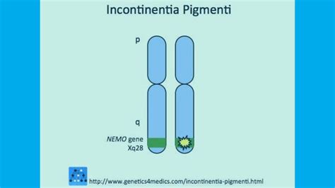 INCONTINENTIA PIGMENTI