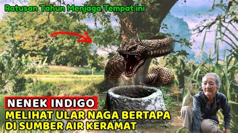 Nyata Dikira Nenek Indigo Batang Pohon Ternyata Ular Naga Bertapa