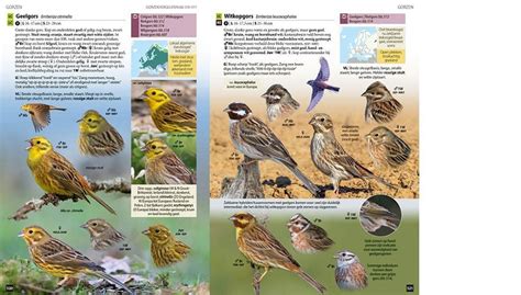 Nieuw Vogels Van Europa De Meest Complete Fotogids Vogelbescherming