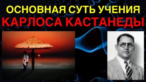 ОСНОВНАЯ СУТЬ УЧЕНИЯ Карлоса Кастанеды В Двух Словах #карлоскастанеда # ...