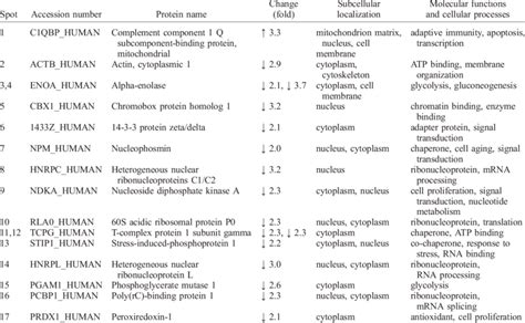 Subcellular localization and biological functions of altered proteins ...