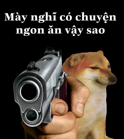 101 cầm súng meme mèo vịt hài hước được săn đón nhiều nhất