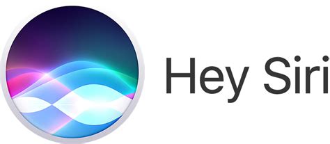 siri  founder suggests apple     level  perfection