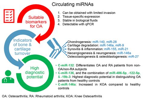 Circulating Mirnas C Mirs As Promising Prognostic And Diagnostic