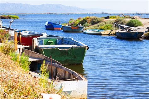 Excursión al Delta del Ebro Paseo en barco desde Alcocéber