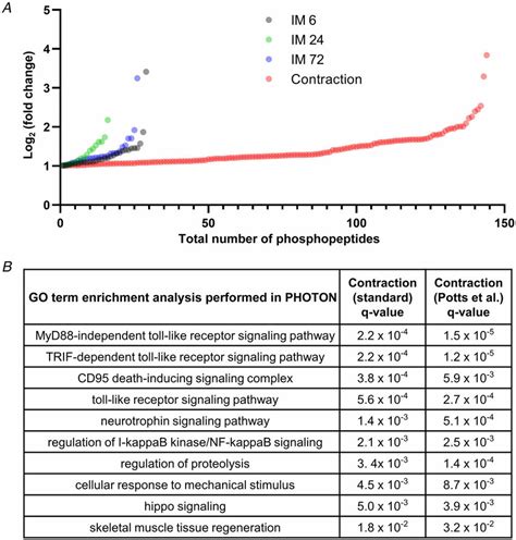 Internal Validation Of The Ability Of The Phosphoproteomic Analyses To