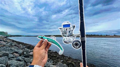 Shore JIGGING GIANT SWIMBAITS Stripers Bluefish In CAPE COD CANAL