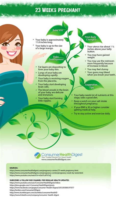 Pin By Mai Richardson On Pregos Board Baby Weight 23 Weeks Pregnant