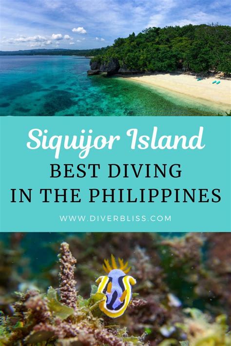 Diving siquijor the mystical island in the philippines – Artofit