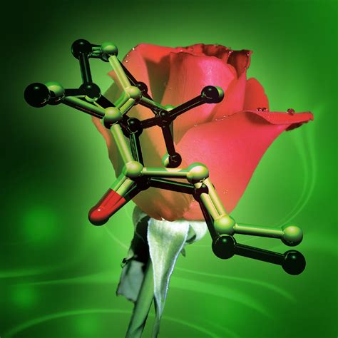 Scent And Chemistry