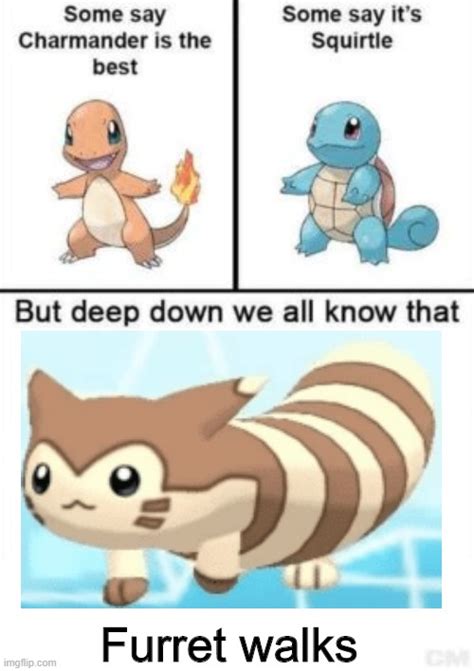 furret Memes & GIFs - Imgflip