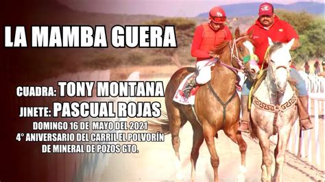 La Mamba Guera Cuadra Tony Montana Carril El Polvor N Mayo