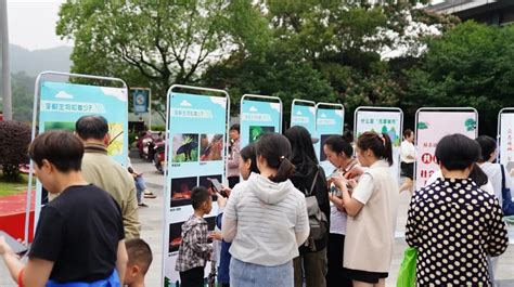 今天，这里涌现了好多“神奇生物”和“小画家” 热点 丽水在线 丽水本地视频新闻综合门户网站