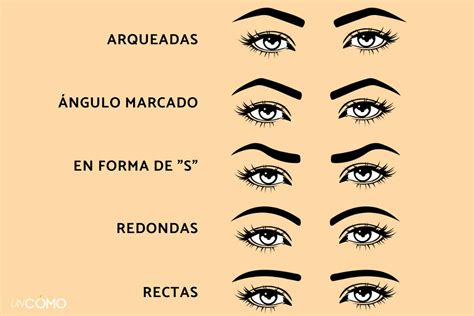 Ara A Denso Ornamento Tipos De Cejas Para Cada Rostro Adoptar Cava