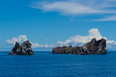 Devils Crown Punta Cormorant Floreana Island Galapag Flickr