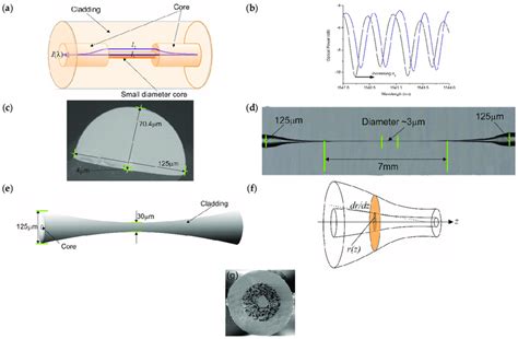 Different Types Of Evanescent Field Optical Fibre Sensors A