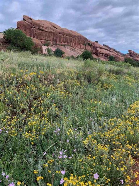 Red Rocks Denver Sunrise And Hiking Mile Marker Memories